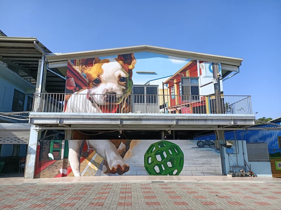 臺南動物之家(善化站.灣裡站)