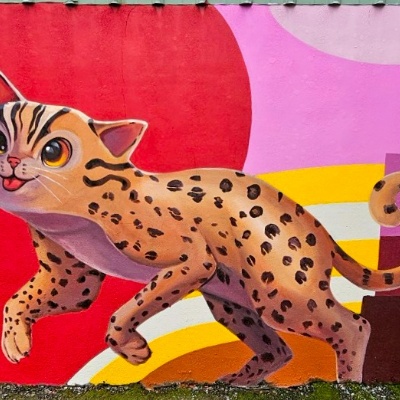 集集鎮玉映里庄子巷、玉映巷道既有圍牆3D彩繪