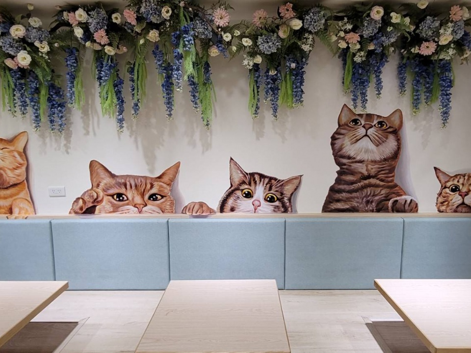 高雄貓咪餐廳